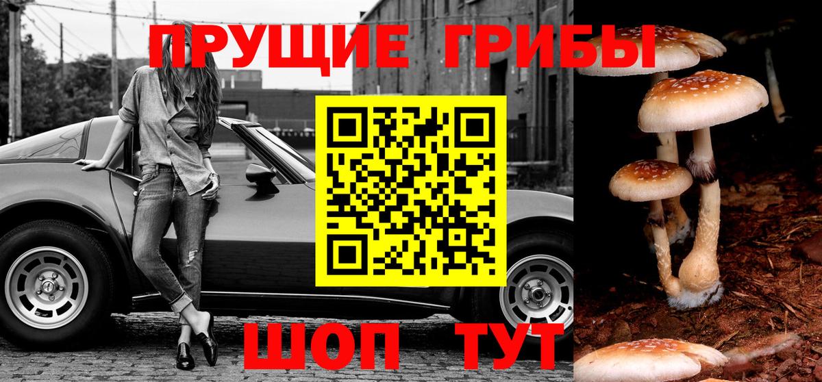 Славгород  Галлюциногенные грибы GOLDEN TEACHER  Вход с VPN  Псилоцибиновые грибы MAGIC MUSHROOMS 