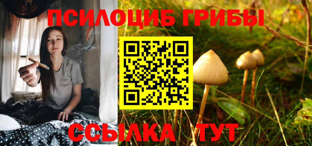 Псилоцибиновые грибы прущие грибы Славгород